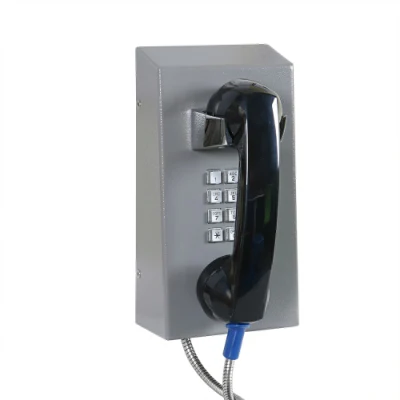 Telefono GSM per prigionieri.  Telefono pubblico industriale di emergenza